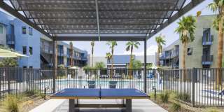 The Lotus Gallery 15