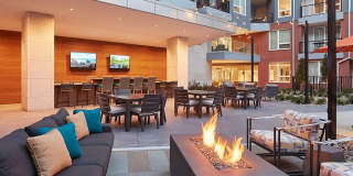 The Vue Gallery 19