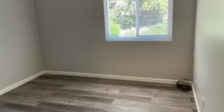 -Spacious 4 Bed 2.5 Bath, House, with Hew Hardwood Floors throughout - Gallery 17