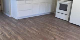 251 Tenney - C Gallery 1