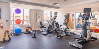 The Veridian Gallery 1