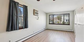 98 Lester Street Gallery 10