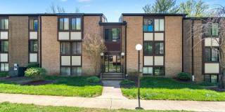 9733 KINGS CROWN Court unit: 102 Gallery 1