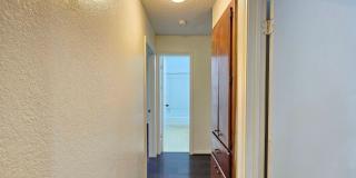 NEW CARPET IN SPARE BEDROOMS! Gallery 10