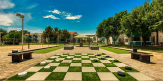 Galleria Palms Gallery 24