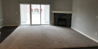 1573 McCleary Lane 1573 McCleary Lane Gallery 5