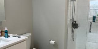 Beautiful Southie apartment Gallery 3