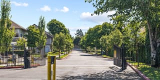 Sterling Heights Gallery 25