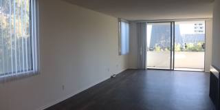 Hillside Terrace Gallery 91