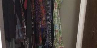 51 Maple Street Gallery 1