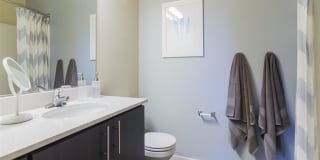 Bailey Farm Gallery 14