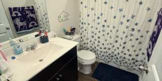 453 CHACO LOOP Gallery 8