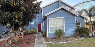 226 ORCHID DRIVE Gallery 5