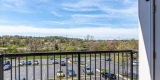 21216 MCFADDEN Square Gallery 34