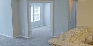 Hampton Center Gallery 11