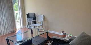 24665 Sylvan Glen Court 24665 Sylvan Glen Court Gallery 6