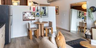 Nova Gallery 8