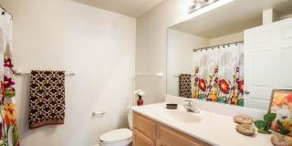 University Place Apartments Gallery 11