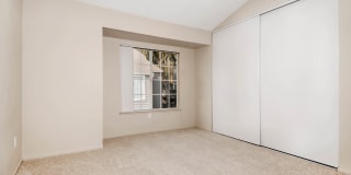 Lantern Cove Gallery 30