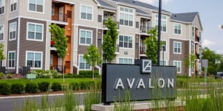 Avalon Piscataway Avalon Piscataway Gallery 36