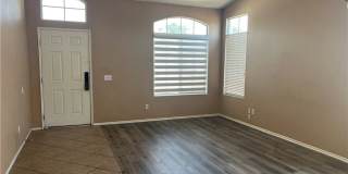 15177 Dandelion Gallery 6
