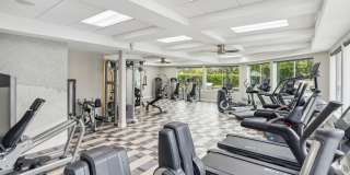 Sofi Ocean Hills Gallery 25