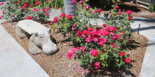 Rancho Monterey Gallery 8