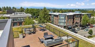 Queen Anne Collection Gallery 36