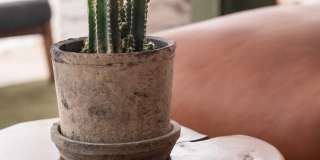 The Driftway Gallery 18