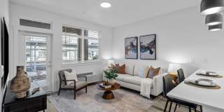 Solis at Petrosa Gallery 2