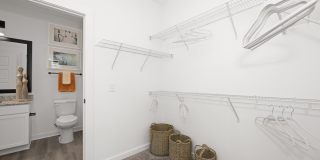 Olea Beach Haven Gallery 16