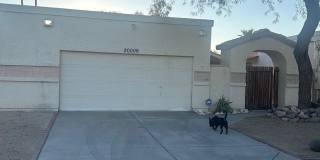 20006 N 47th Lane Gallery 2