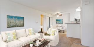 Portola Meadows Gallery 14