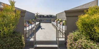 The Vantage Gallery 42