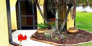 4530 Radiant Way 101 - 101 Gallery 1