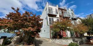 Ballard Townhome Gallery 1