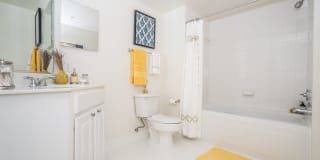 Ballston Place Gallery 28