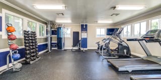 evRIA Diamond Valley Gallery 12