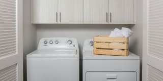 Harvest in Tracy Gallery 15