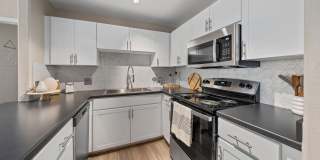 Palm Court Gallery 1