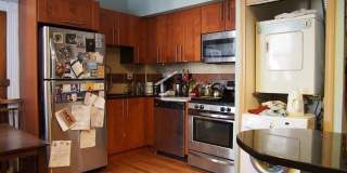 Nice 4 bed next to the green line in Allston Gallery 4