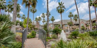 San Montego Gallery 19