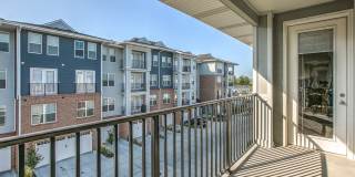 1010 on the Lake Gallery 1