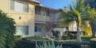 Sumac Oasis Gallery 6