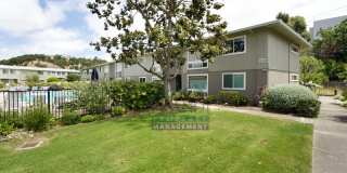 1032 Los Gamos Rd 1032 Los Gamos Rd Gallery 14