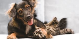 Affordable Housing - Riverstation Apartments Affordable Housing - Riverstation Apartments Gallery 30