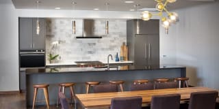 The Glenn Gallery 19