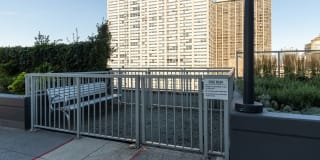 Arrive Lex Gallery 46