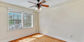 One Bedroom Apartment in Belhaven Gallery 19