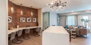 Avana Evergreen Gallery 30